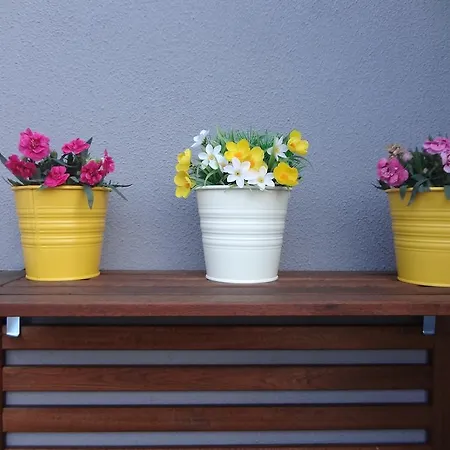 アパート クルス リスボン